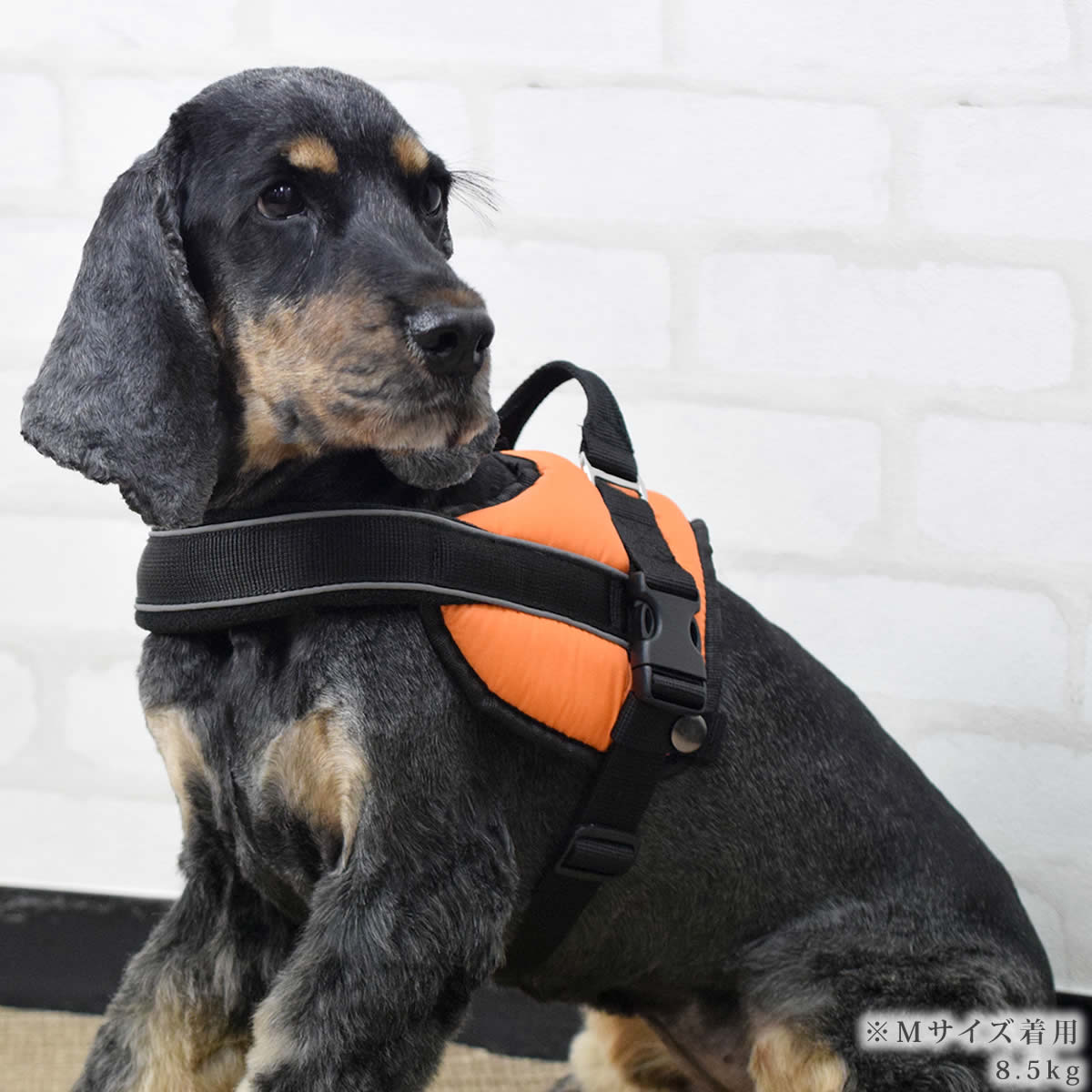 �淿���ѥϡ��ͥ��ü��ͥ�������å����ϡ��ͥ���������M