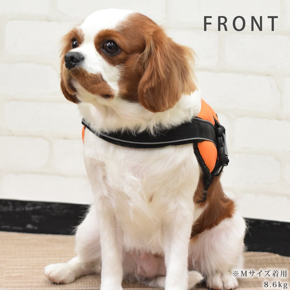 �淿���ѥϡ��ͥ��ü��ͥ�������å����ϡ��ͥ���������M