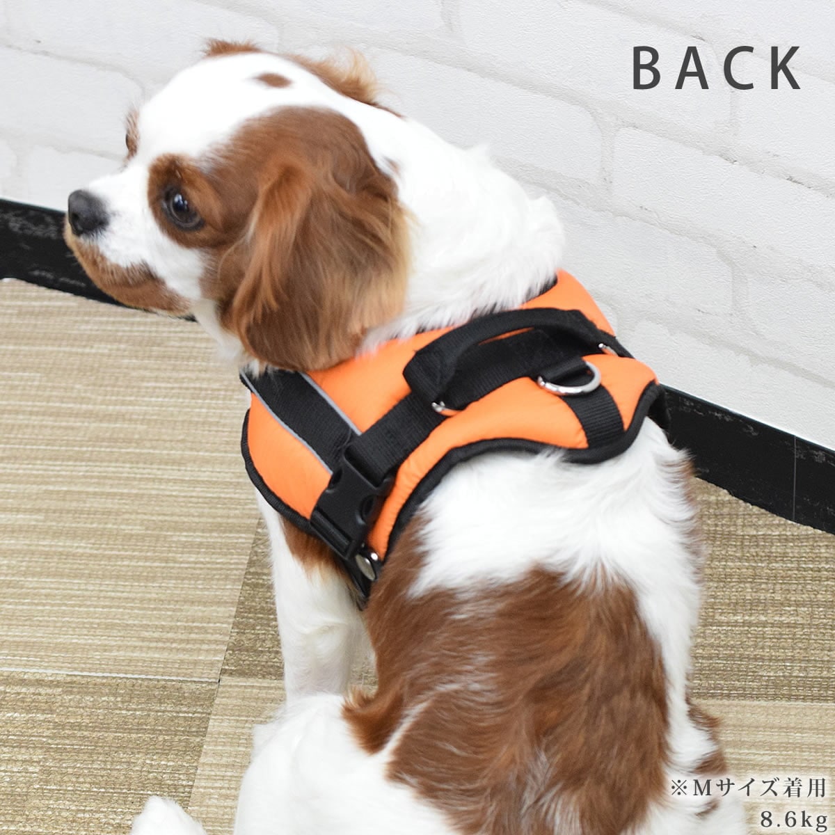 �淿���ѥϡ��ͥ��ü��ͥ�������å����ϡ��ͥ���������M