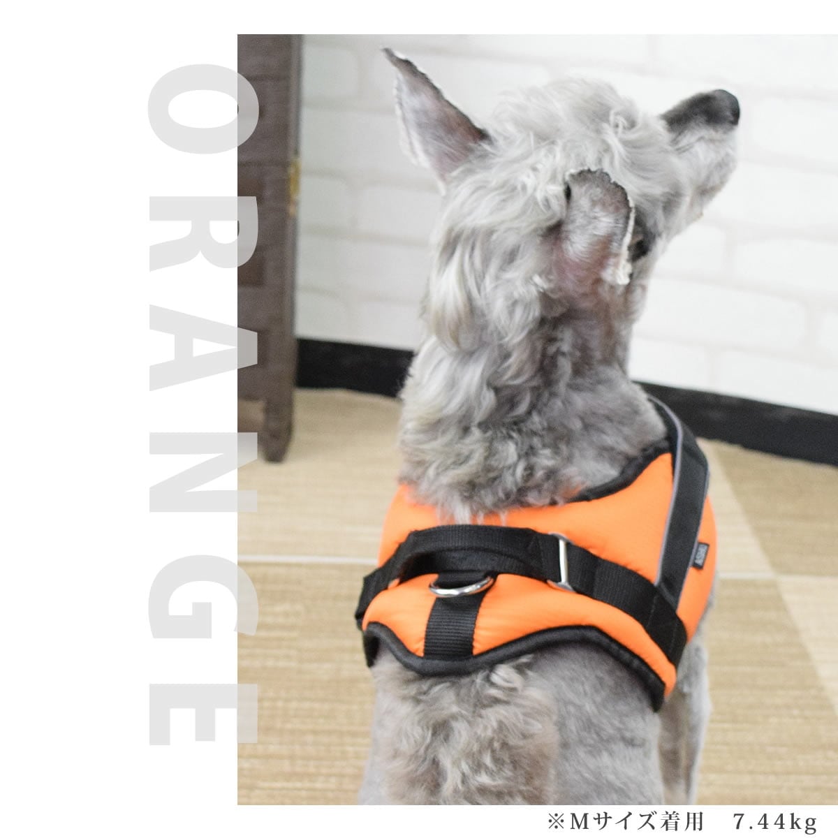 �淿���ѥϡ��ͥ��ü��ͥ�������å����ϡ��ͥ���������M