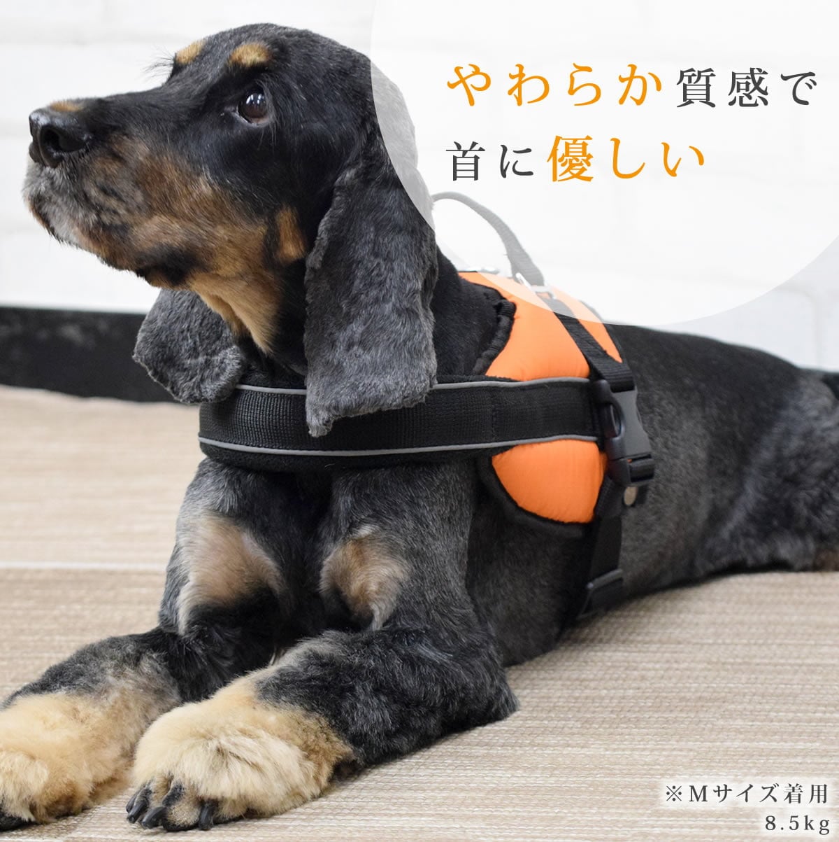 �淿���ѥϡ��ͥ��ü��ͥ�������å����ϡ��ͥ���������M