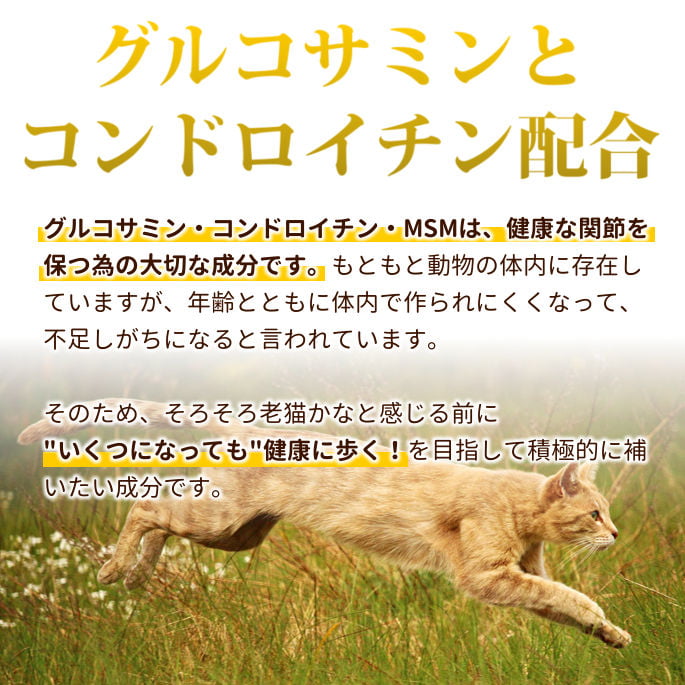 AATU �����ȥ����å���åȡ�������������顡85g17�ޥ��å� �����åȥա��ɡ�������ܿ���