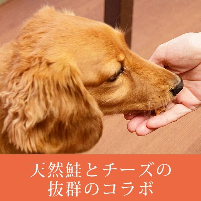 �����Ѥ���ġ������㤱�å���10��+1�ޥ��åȡ�������ǭ���ѡ����㤱�ä�