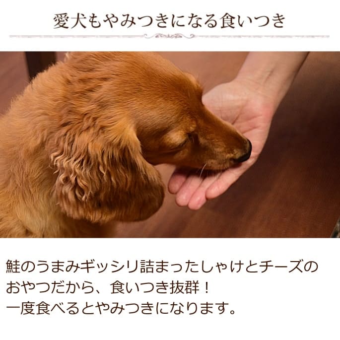 �����Ѥ���ġ������㤱�å���10��+1�ޥ��åȡ�������ǭ���ѡ����㤱�ä�