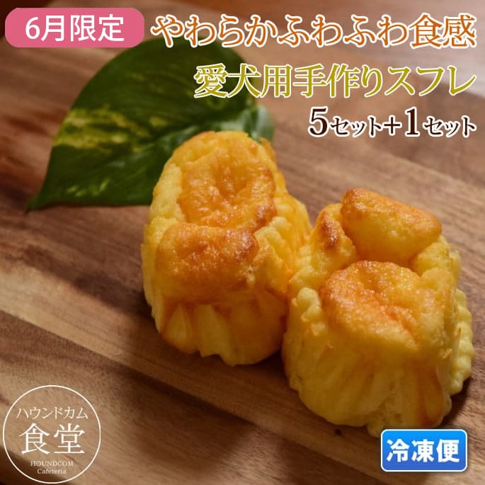 ��6�����۰����� ��Ʋ�μ�����������ե� 5���å�+1���åȡڥѥå��������ѹ��ˤʤ�ޤ�����