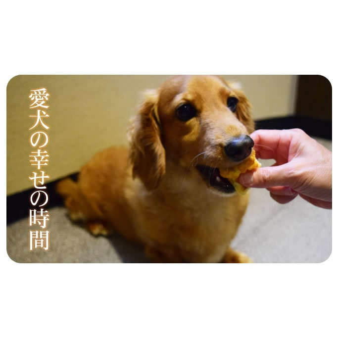 ��12�����۰����� ��Ʋ�μ�����������ե� 5���å�+1���åȡڥѥå��������ѹ��ˤʤ�ޤ�����