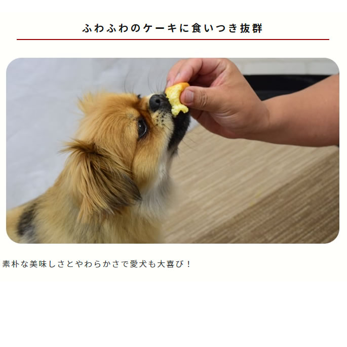 ��12�����۰����� ��Ʋ�μ�����������ե� 5���å�+1���åȡڥѥå��������ѹ��ˤʤ�ޤ�����