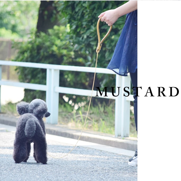 小型犬用リード ASHU ソフトレザーチェーンリード Sサイズ