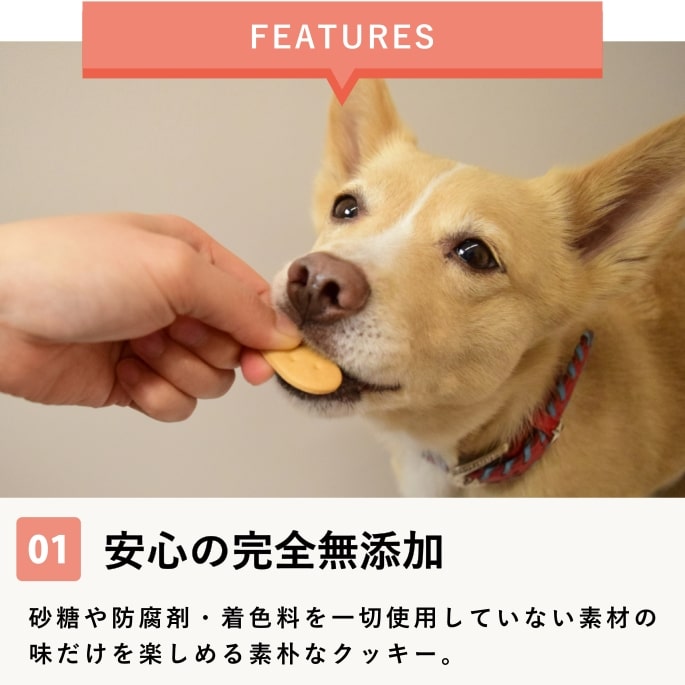 ���ѥ��å����å��ꥸ�ʥ륯�å��� �� 5�ޥ��å� �� ��a0081��