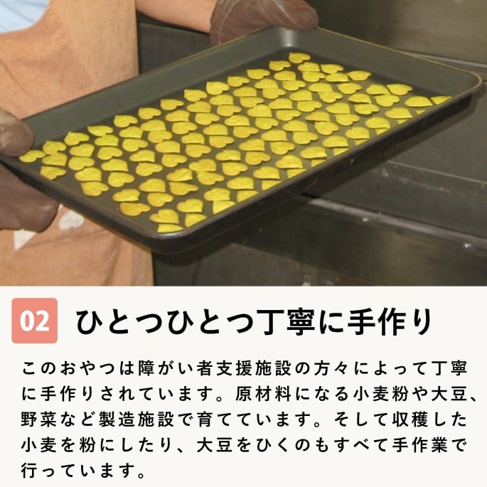 ���ѥ��å����å��ꥸ�ʥ륯�å��� �� 5�ޥ��å� �� ��a0081��