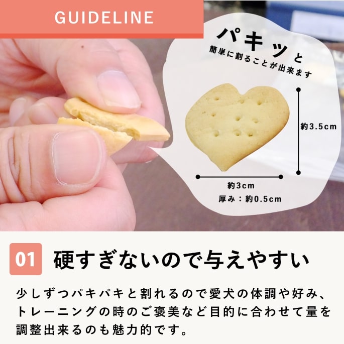 ���ѥ��å����å��ꥸ�ʥ륯�å��� �� 5�ޥ��å� �� ��a0081��