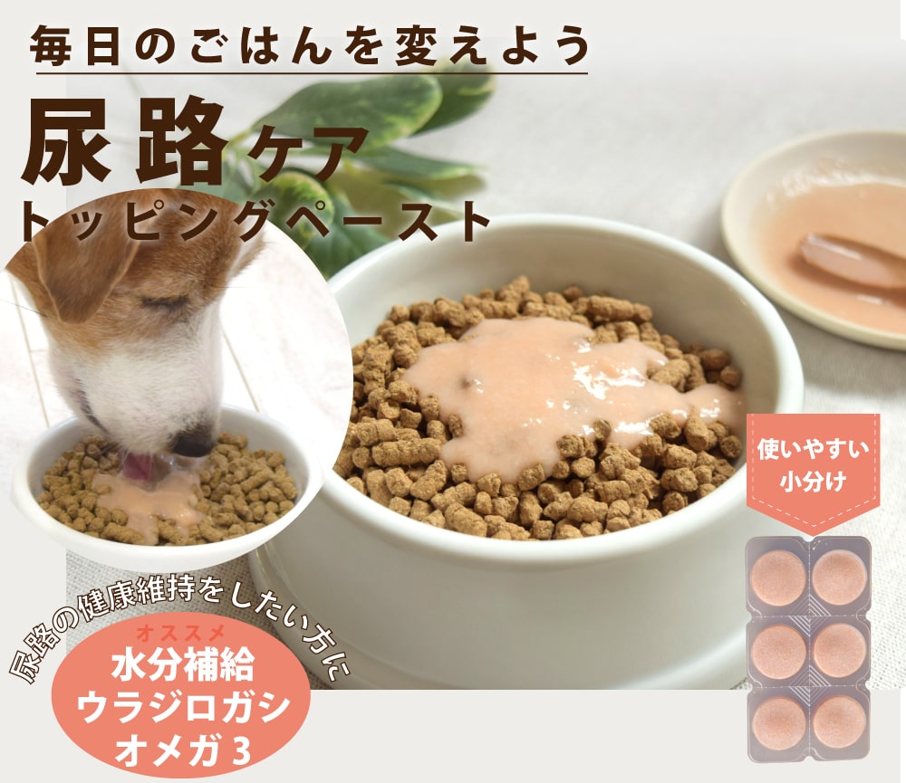  ˡݡ Ǣϩ ʤ餫Ϥ ءۡڥϥɥ࿩Ʋ