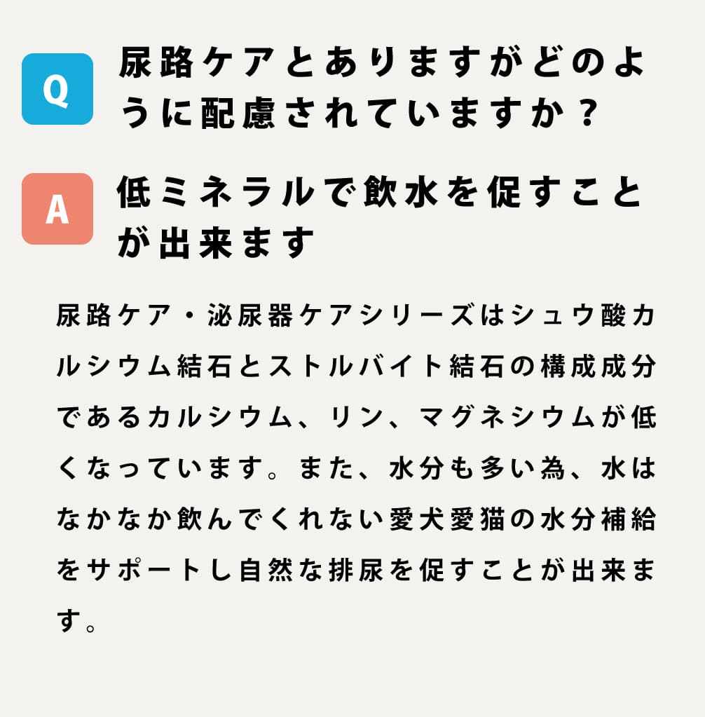  ˡݡ Ǣϩ ʤ餫Ϥ ءۡڥϥɥ࿩Ʋ