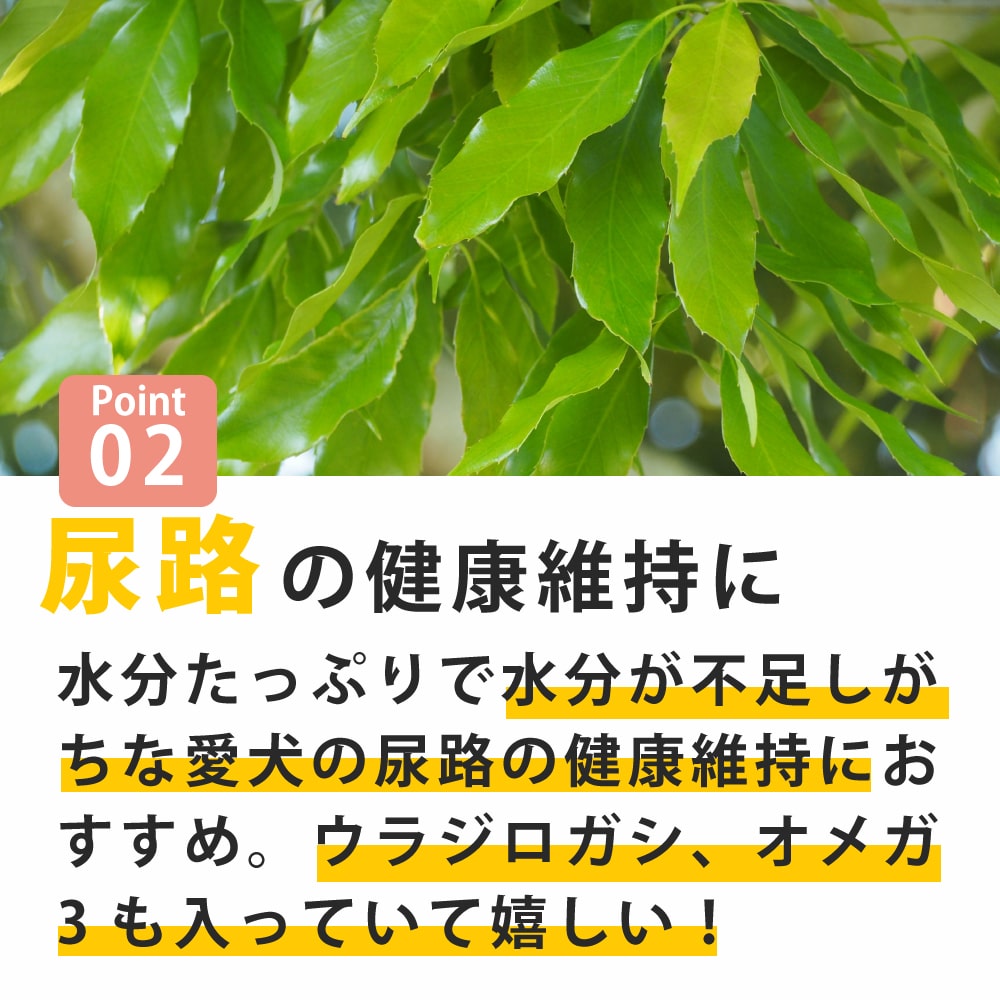  ˡݡ Ǣϩ ʤ餫Ϥ ءۡڥϥɥ࿩Ʋ