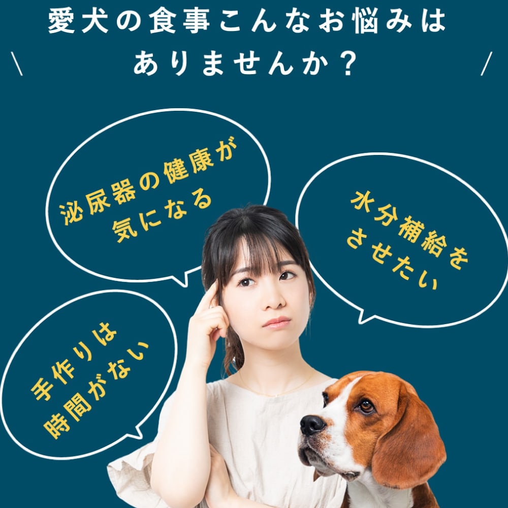  ˡݡ Ǣϩ ʤ餫Ϥ ءۡڥϥɥ࿩Ʋ