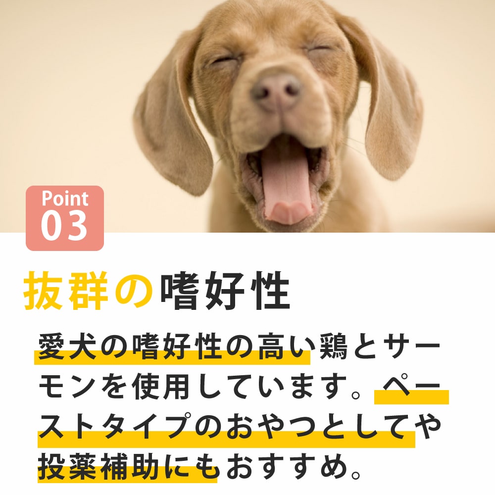  ˡݡ Ǣϩ ʤ餫Ϥ ءۡڥϥɥ࿩Ʋ