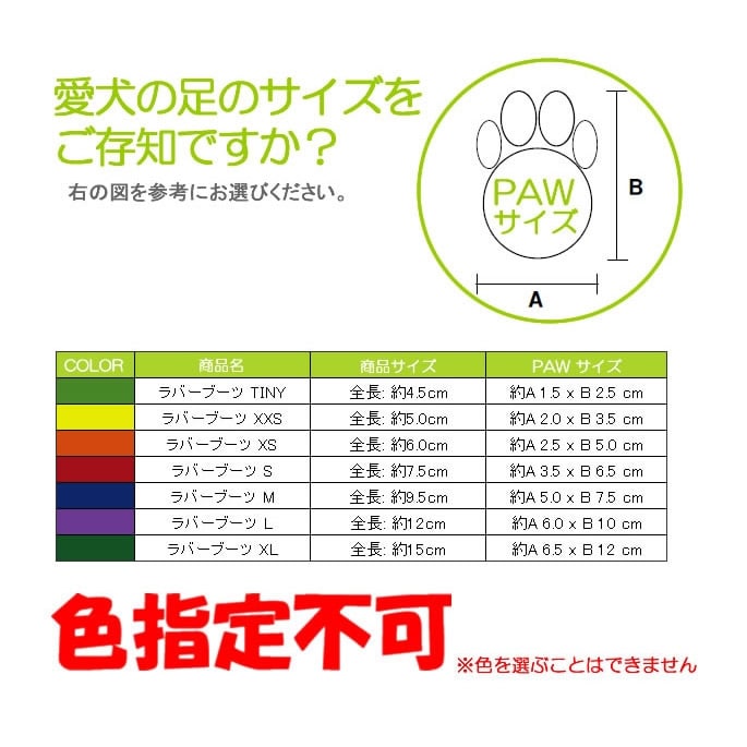 �����ݸ� ���ߤ���̤ˡ���С��֡��ġ�Tiny���饤�ȥ��꡼�󡡡�12������ۥ쥤��֡���