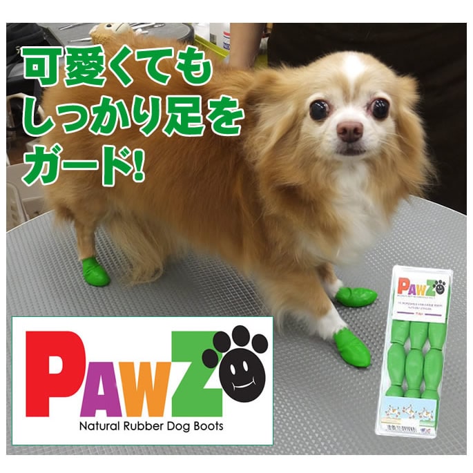 �����ݸ� ���ߤ���̤ˡ���С��֡��ġ�Tiny���饤�ȥ��꡼�󡡡�12������ۥ쥤��֡���