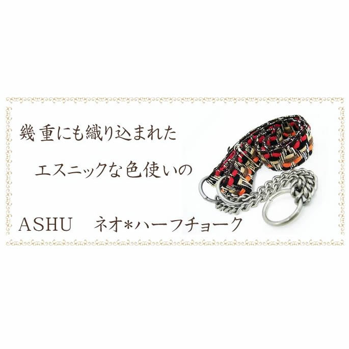 ���ѥϡ��ե��硼����ASHU���ͥ����ϡ��ե��硼�������������緿���ޤ�