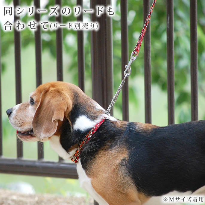 ���ѥϡ��ե��硼����ASHU���ͥ����ϡ��ե��硼�������������緿���ޤ�