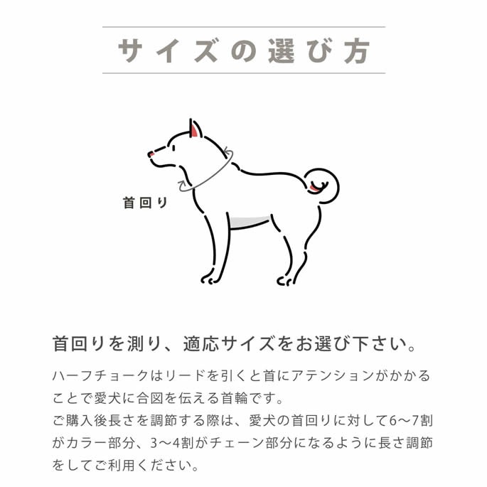 ���ѥϡ��ե��硼����ASHU���ͥ����ϡ��ե��硼�������������緿���ޤ�