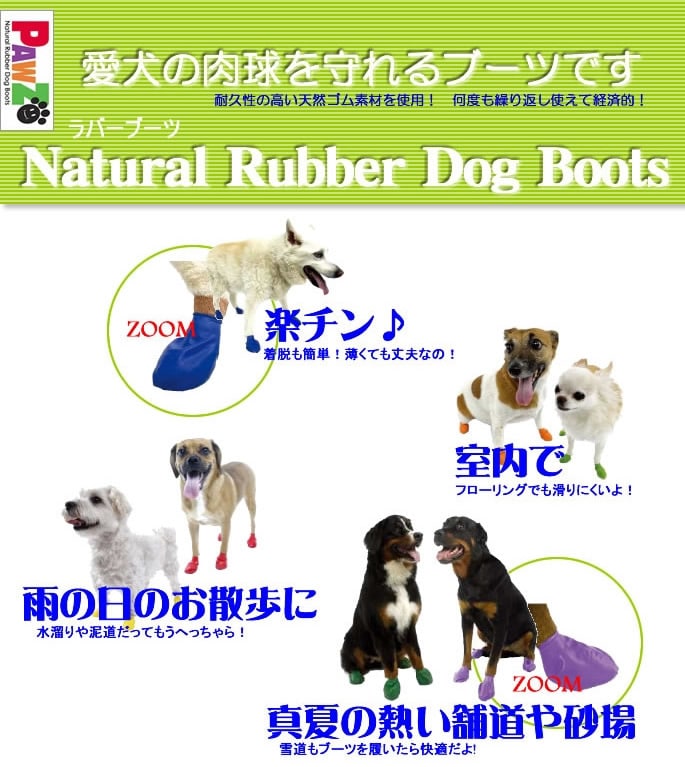 �����ݸ� ���ߤ���̤ˡ���С��֡��ġ�Tiny���饤�ȥ��꡼�󡡡�12������ۥ쥤��֡���