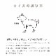 ���ѥϡ��ե��硼����ASHU���ͥ����ϡ��ե��硼�������������緿���ޤ�