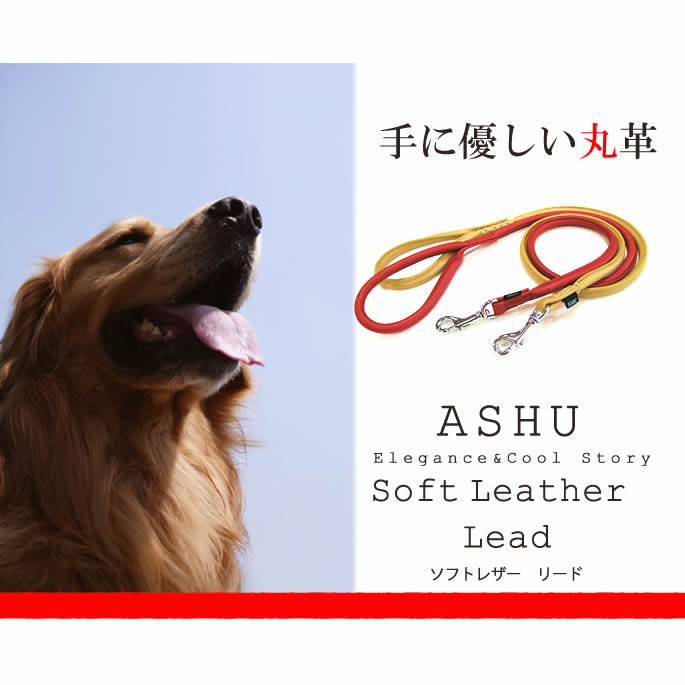 �淿���ѥ꡼�ɡ�ASHU�����եȥ쥶�����꡼�ɡ���������M
