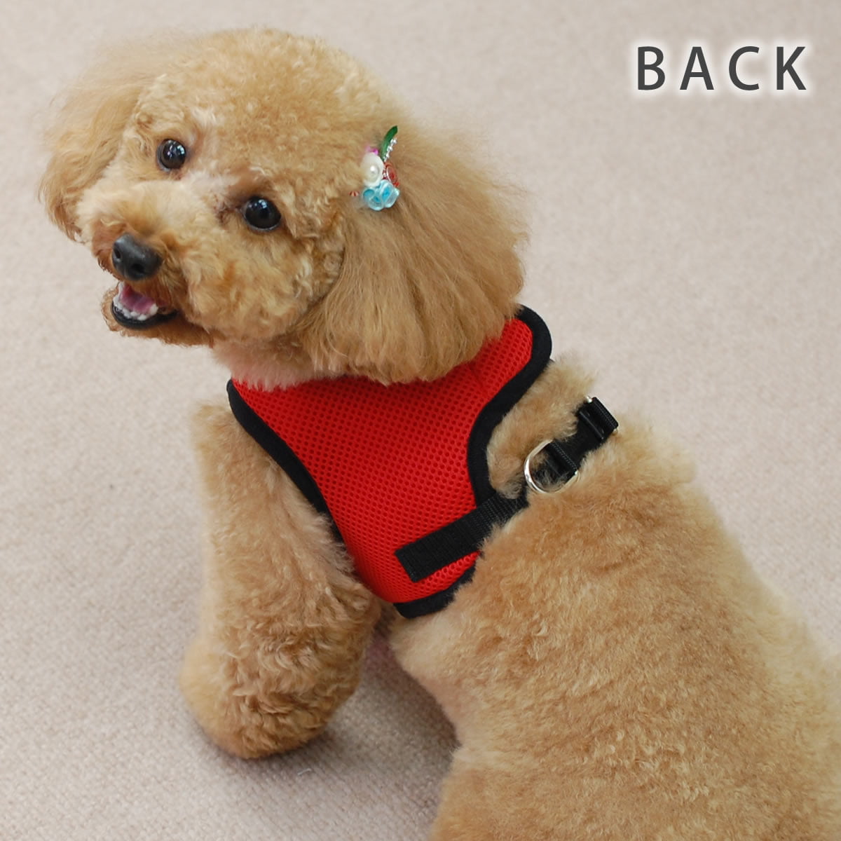 ѥϡͥ꡼ɥåȡASHUϡͥ å꡼ɥåȡM