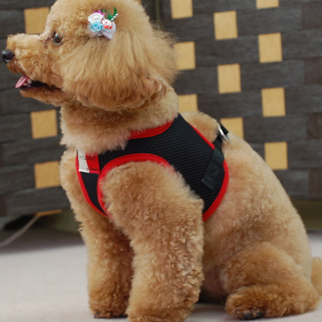 ѥϡͥ꡼ɥåȡASHUϡͥ å꡼ɥåȡM