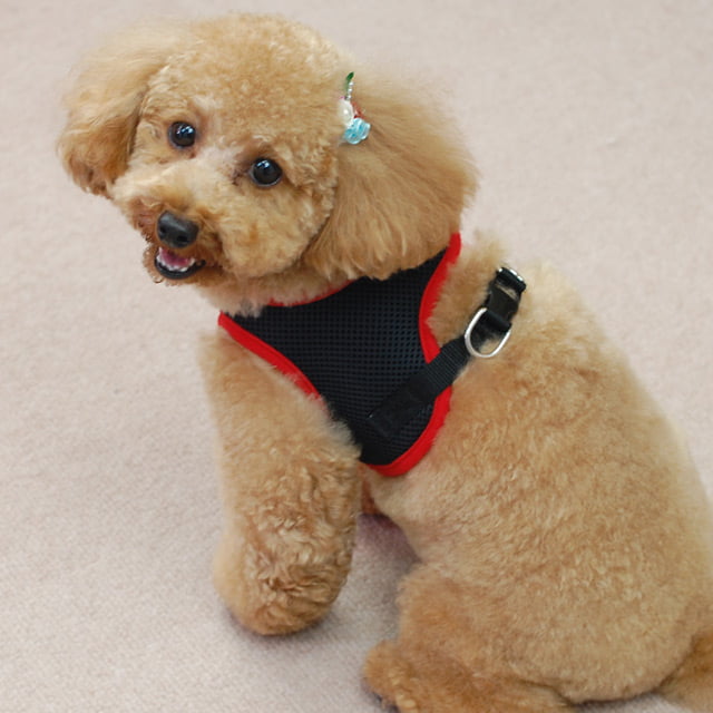 ѥϡͥ꡼ɥåȡASHUϡͥ å꡼ɥåȡM