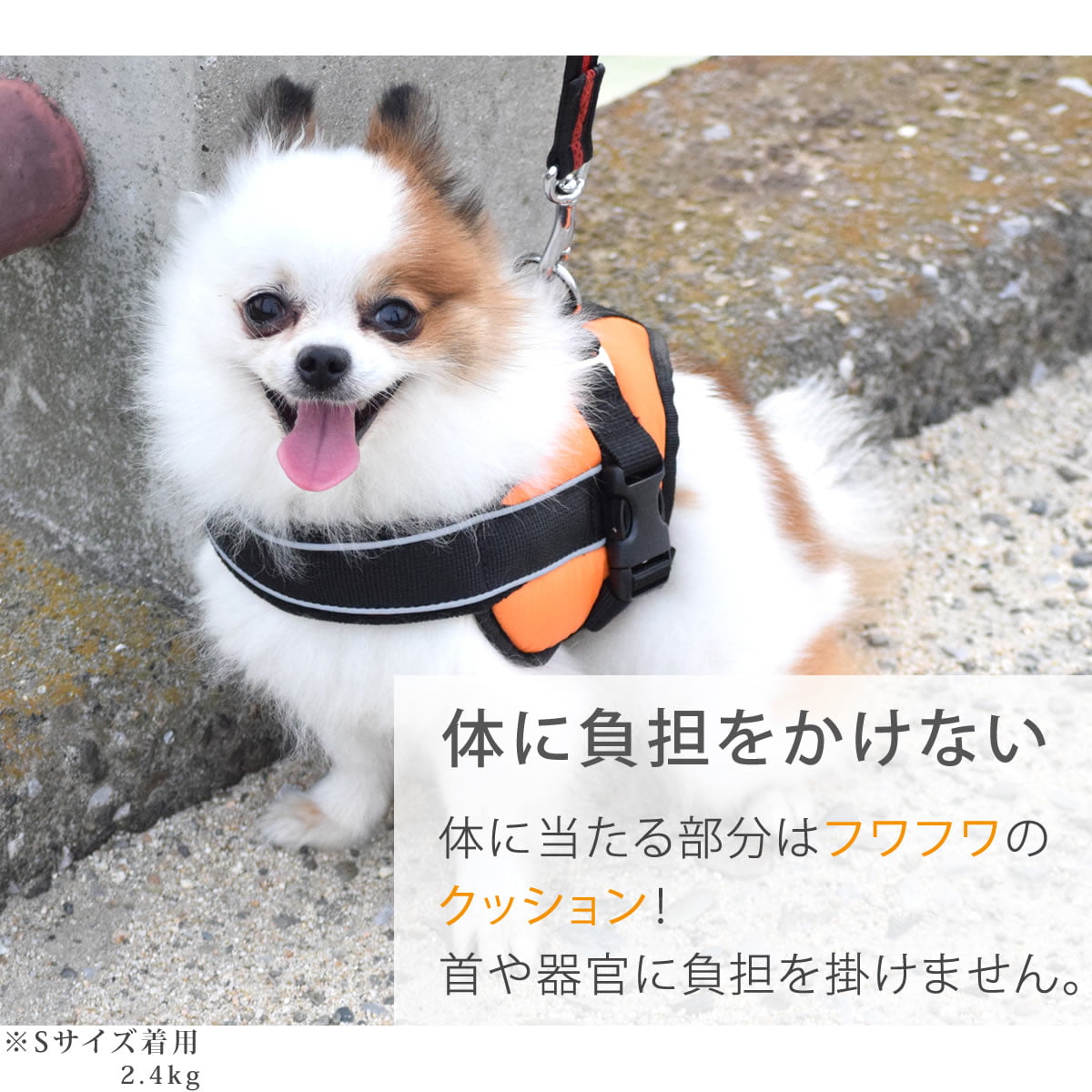 �������ѥϡ��ͥ��ü��ͥ�������å����ϡ��ͥ���������S