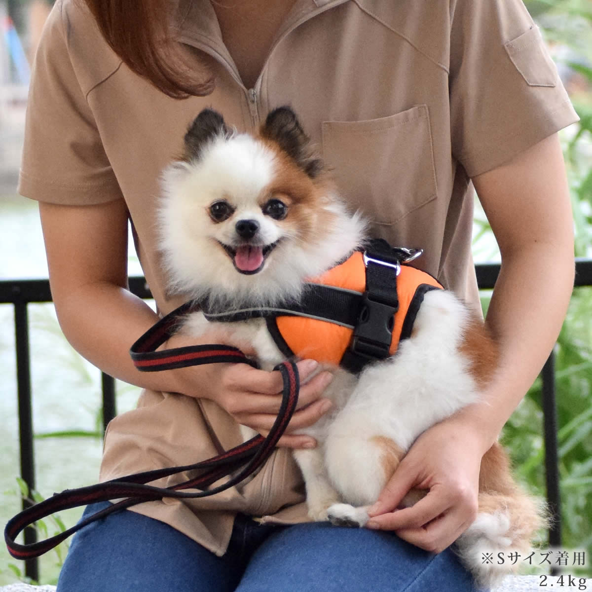 �������ѥϡ��ͥ��ü��ͥ�������å����ϡ��ͥ���������S