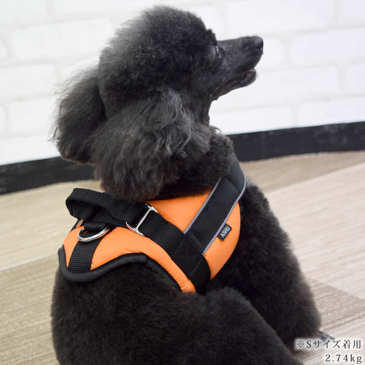 �������ѥϡ��ͥ��ü��ͥ�������å����ϡ��ͥ���������S