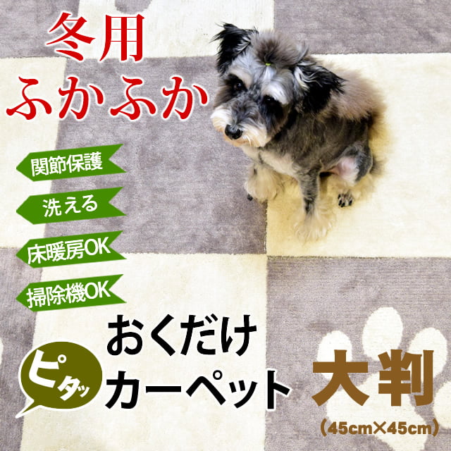 ���Ѥդ��դ��������륫���ڥåȡ��ԥ��ڥȥ⡡45��45cm����2�硿12�硿36��