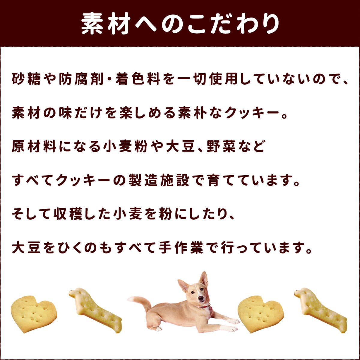 ���ѥ��å����å��ꥸ�ʥ륯�å������ե����ץ饹 �� 5�ޥ��å� ��