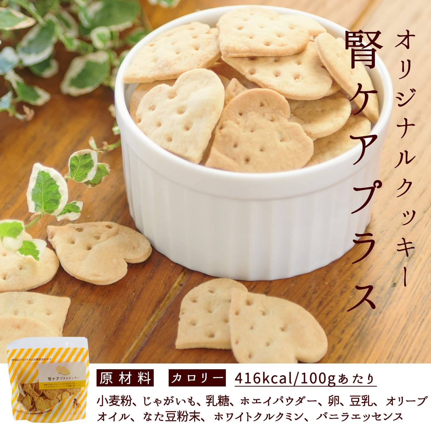 ������ ����ǿ�¡��ͥ������ȥ�ȤȤ���ĤΥ��åȡڤ�����Ͼﲹ�ؤǤ���