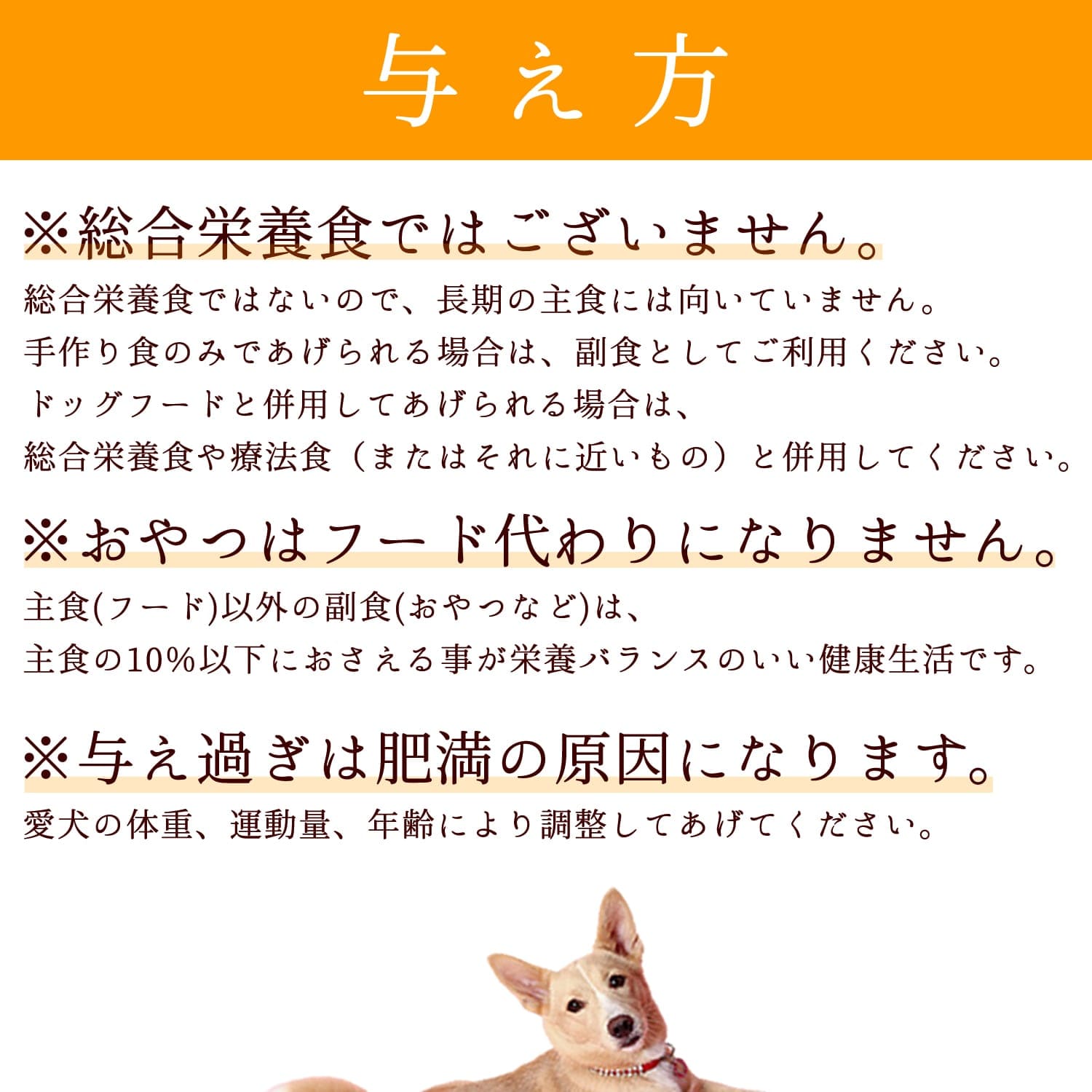 ������ ����ǿ�¡��ͥ������ȥ�ȤȤ���ĤΥ��åȡڤ�����Ͼﲹ�ؤǤ���