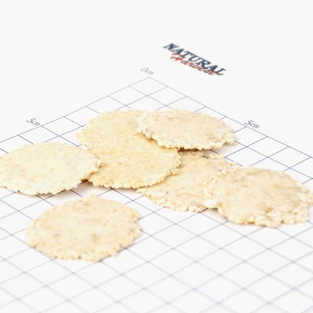 ������ �����| �ʥ�����ϡ��٥��� ����ġä���ѥ�