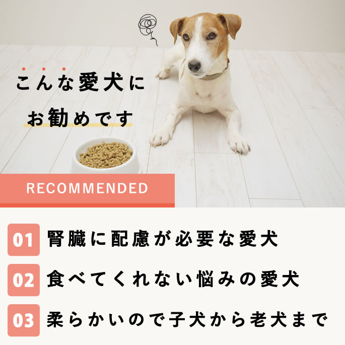 �����Ѽ��ꤴ�� �ϥ���ɥ��࿩Ʋ�ο͵��ͤ��碌���åȡڥϥ���ɥ��࿩Ʋ�ۡ������ء�