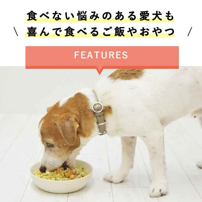 �����Ѽ��ꤴ�� �ϥ���ɥ��࿩Ʋ�ο͵��ͤ��碌���åȡڥϥ���ɥ��࿩Ʋ�ۡ������ء�