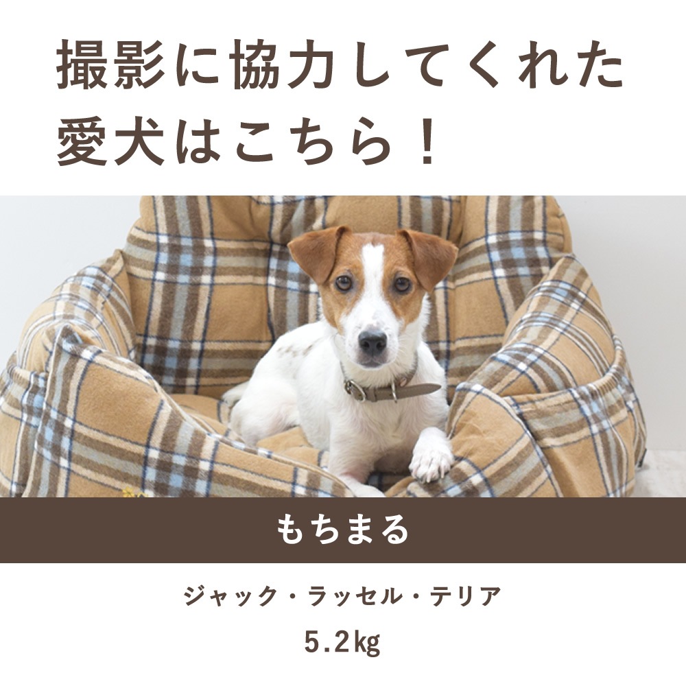  ѥ٥å åӥɥ饤ӥ󥰥٥å M ١ ڥΥե