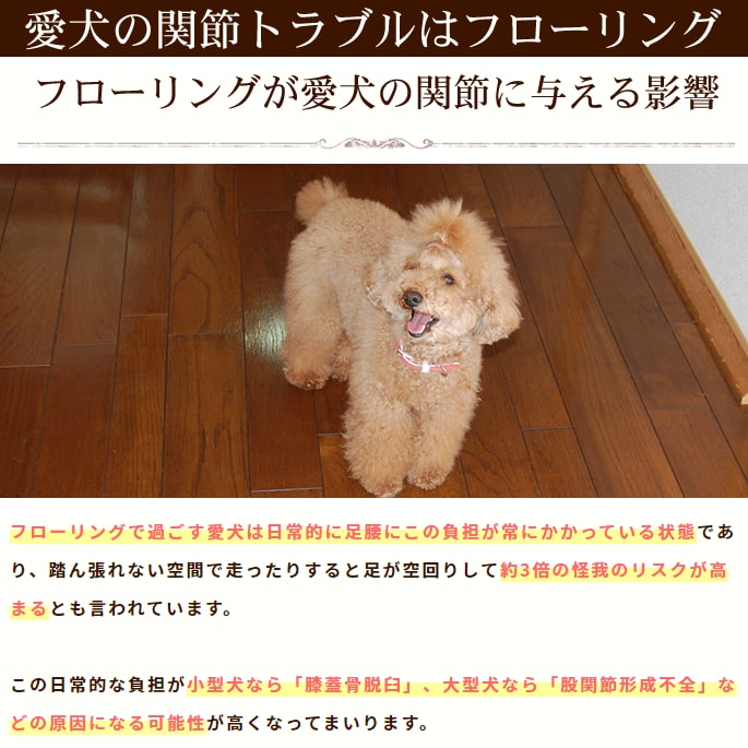 ��������������奿����ޥåȡ�25��25cm��100�祻�å�