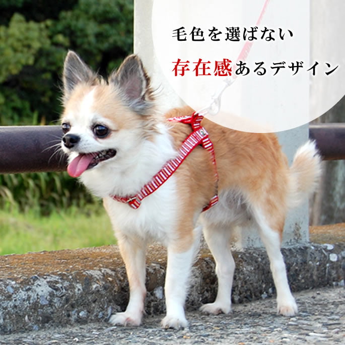 �������ѥϡ��ͥ���ASHU��STEP�����ƥåס��ϡ��ͥ���S������