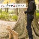 �������ѥϡ��ͥ���ASHU��STEP�����ƥåס��ϡ��ͥ���S������