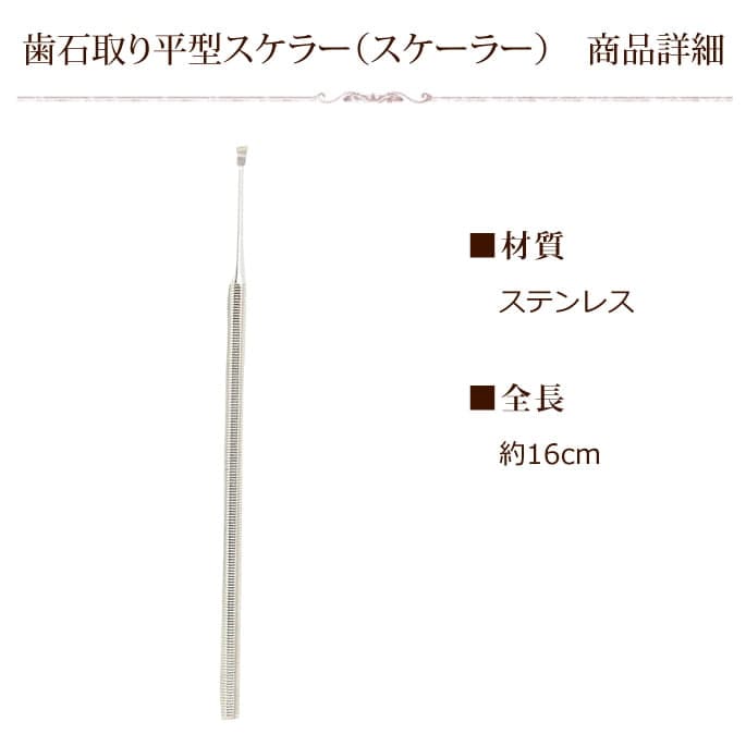 ǭѡм&ǥ󥿥륱åȡa0368ʿ顼ȥǥ󥿥륯꡼Υåȡ2ưʪѰŵ¤ġ26&#8545;101