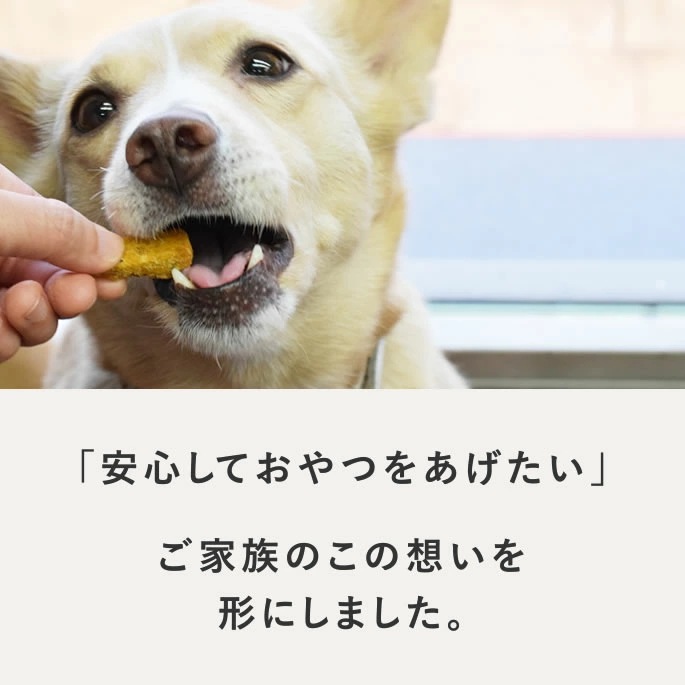 犬用無添加おやつ｜小豆かぼちゃの腎ケアビスケソフト60g 10+1袋