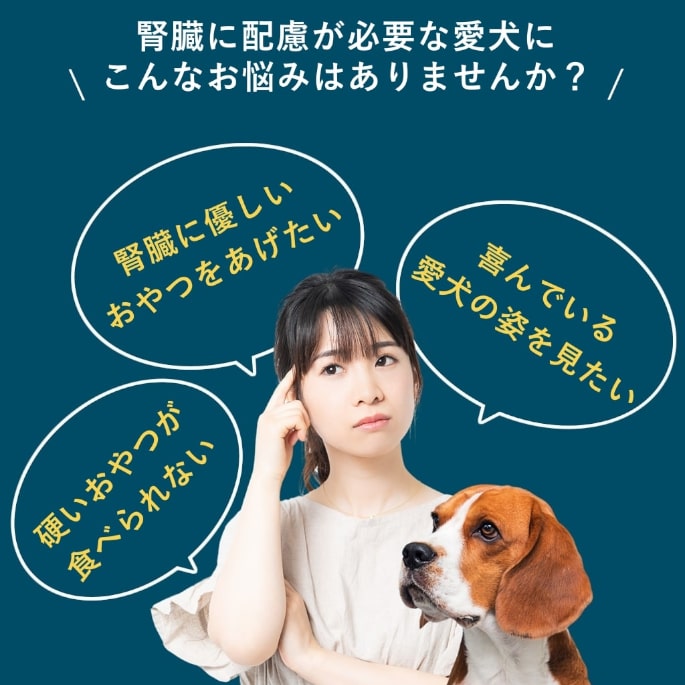 ������ ��Ʋ�μ�����������ե� 12�ĥ��åȡڥѥå������ѹ����ޤ����ۡڥϥ���ɥ��࿩Ʋ��