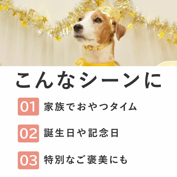 ������ ��Ʋ�μ�����������ե� 12�ĥ��åȡڥѥå������ѹ����ޤ����ۡڥϥ���ɥ��࿩Ʋ��