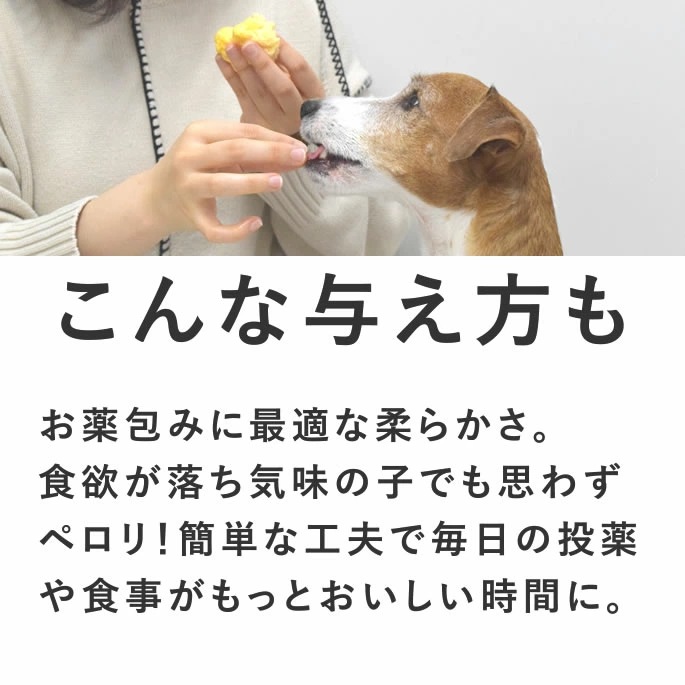 ������ ��Ʋ�μ�����������ե� 12�ĥ��åȡڥѥå������ѹ����ޤ����ۡڥϥ���ɥ��࿩Ʋ��